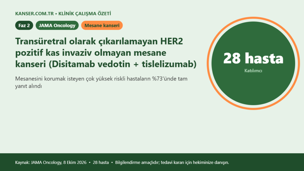 Transüretral olarak çıkarılamayan HER2 pozitif kas invaziv olmayan mesane kanseri (Disitamab vedotin + tislelizumab)