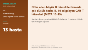Nüks eden büyük B hücreli lenfomada çok düşük dozlu, IL-10 salgılayan CAR-T hücreleri (META 10-19)