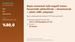 Beyin metastazlı üçlü negatif meme kanserinde adebrelimab + bevasizumab + platin (ABC çalışması)